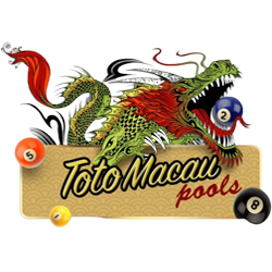 TOTOMACAU NIGHT